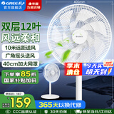 格力（GREE）电风扇家用客厅大风量落地扇低噪轻音扇节能台地两用电扇立式摇头办公宿舍风扇空气循环换气扇 【14吋】双层12叶机械款（FD-3588h7）