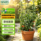 绿园匠植物防倒伏支架绣球吊兰金属支撑杆园艺固定架爬藤月季花卉花架