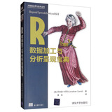 R数据加工与分析呈现宝典/大数据应用与技术丛书