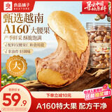 良品铺子大大紫衣腰果488g/罐大颗粒A160越南坚果干果送礼团购