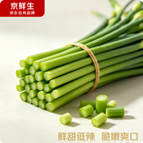 京鲜生河南红帽蒜苔 净重4.5斤 新鲜蒜薹饱满粗细适中 源头直发包邮