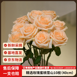 京东鲜花【蜜桃雪山】玫瑰花10枝40cm起发如意基地鲜切花插花山东源头直发