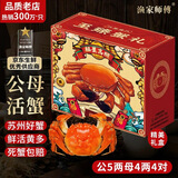 【活蟹】漁家师傅大闸蟹公5.0-5.3两母4.0-4.3两4对8只 鲜活螃蟹现货生鲜礼盒中秋送礼
