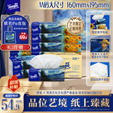 得宝（TEMPO）梵高文化遗产基金会艺术系列抽纸4层90抽*15包 湿水不易破 纸巾