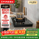 星焰电火电焰灶不用燃煤气料节能猛火灶台嵌两用嵌入式单灶3000W等离子以纯电生明火灶家用户外商两用 电火灶（下单送180天只换不修）