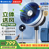 格力（GREE）电风扇一级能效空气循环扇直流变频家用落地扇节能静音摇头换气扇语音遥控电扇 FXDZ-20X60BVg3