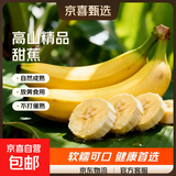 甜糯香蕉广西新鲜水果6号色食用最佳青香蕉发货放软可吃苹果催熟 甜糯香蕉带箱4斤 香甜软糯