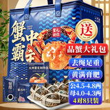 【活蟹】蟹宗鲜活大闸蟹公4.5-4.8两母4.0-4.3两4对8只生鲜螃蟹海鲜节日礼品源头直发