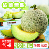 海南/山东网纹瓜哈密瓜玫珑新鲜现摘水果冰淇淋蜜瓜京东包邮 净重1.3-2斤1个装