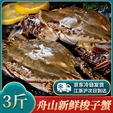 辰鲜派【冰鲜】辰鲜派舟山海捕梭子蟹3-4两/只3斤冰鲜 26年新蟹 源头直发