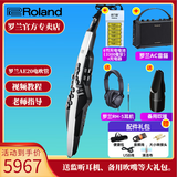 罗兰AE20电吹管AE-30旗舰款吹管电子萨克斯管乐AE10升级款 AE20+吹嘴+AC音箱+充电电池套装+耳机礼包