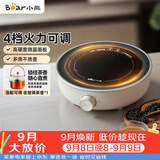 小熊（Bear）迷你电陶炉 煮茶器煮茶炉煮茶壶 养生围炉煮茶老白茶黑茶花茶泡茶不挑器具 DTL-J13N3