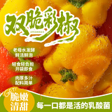 老坛子双脆彩椒300g 活泡菜四川泡菜即食下饭菜红黄甜椒水果彩椒