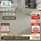 大江进口羊毛地毯客厅现代简约素色轻奢高级感沙发地毯200x300cm