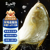 卖鱼七郎液氮锁鲜国产 金鲳鱼1.6-2斤/2条装 深海鲳鱼生鲜鱼类海鲜纯鱼肉