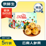 京鲜生 云南人参果 净重5斤【精选大果】单果110g起 生鲜中秋水果