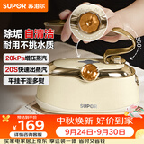 苏泊尔（SUPOR）【优雅复古】手持挂烫机24g/min家用熨烫机110ml水箱蒸汽电熨斗小型便携式EGH-906A团购礼物