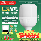佛山照明大功率LED灯泡30W节能灯具E27螺口6500K白光柱形