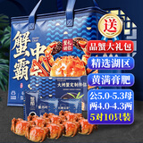 【活蟹】蟹宗大闸蟹鲜活螃蟹公5.0-5.3母4.0-4.3两5对10只生鲜海鲜节日礼品源头直发