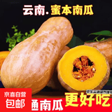 正宗精选云南高原蜜本南瓜甜糯老南瓜批发当季新鲜蔬菜减脂轻食 出口级优选蜜本南瓜 9斤 净重