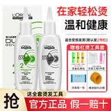 欧莱雅（LOREAL）烫发水冷烫药水男女士卷发纹理烫锡纸烫刘海大波浪家用自烫理发店 【送卷杠烫工具】受损发质-烫发水200ml