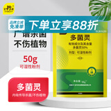 史丹利（STANLEY）多菌灵50g 杀菌剂花药多菌菌灵花卉百菌清白粉兰花黑斑病专用药