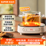 苏泊尔（SUPOR）电陶炉煮茶电磁炉家用电磁炉灶新型迷你小型简易大功率速热轻音火锅围炉煮茶炉C10-CS15
