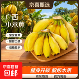 京喜加新鲜现摘正宗小米蕉皇帝蕉小香蕉软糯可口水果宝宝蕉 4斤 带箱