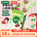 宝宝馋了山楂棒儿童零食棒棒糖型原果制作水果条无添加香精蓝莓味72g