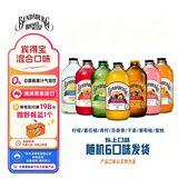 宾得宝（Bundaberg）含气饮料混合装375ml*6瓶 8口味随机发货 澳洲秋日出游果汁气泡水