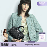 纽芝兰（NUCELLE）飞马波士顿包包2026新款轻奢小众手提斜挎女士包包生日礼物送女生