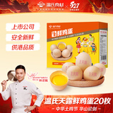 温氏供港鲜鸡蛋20枚/2斤 早餐食材 谷物喂养 早餐营养健康京东自营