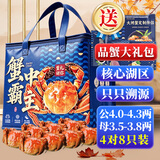 蟹宗【活蟹】蟹宗鲜活大闸蟹公4.0-4.3两母3.5-3.8两4对8只生鲜螃蟹海鲜中秋节礼盒源头直发
