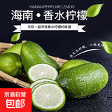 海南香水柠檬黄金百香果新鲜水果组合自制水果茶饮套餐diy维C满满 【海南香水柠檬】带箱1斤