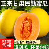 正宗甘肃民勤蜜瓜头茬沙漠甜瓜哈密瓜新鲜水果脆甜多汁坏果包赔 净重8-9斤脆甜多汁