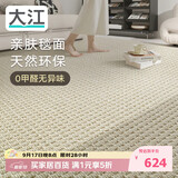 大江进口羊毛地毯客厅现代简约素色轻奢高级感沙发地毯140x200cm