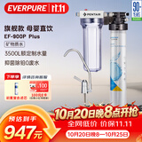 爱惠浦（Everpure） 家用矿物质厨下净水器 大流量0废水直饮 1.8L/分钟3500L处理量 EF-900P Plus