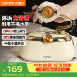苏泊尔（SUPOR）【优雅复古】手持挂烫机24g/min家用熨烫机110ml水箱蒸汽电熨斗小型便携式EGH-906A团购礼物