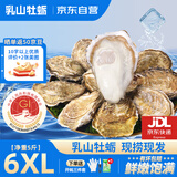 鲜海道乳山生蚝鲜活乳山牡蛎6XL 净重5斤 6-9只 源头直发送礼