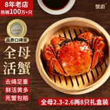 【活蟹】蟹爵大闸蟹鲜活螃蟹现货生鲜河蟹实物水产海鲜礼盒 全母2.3-2.6两8只礼盒装