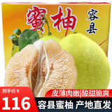 趣觅鲜正宗容县蜜柚产地直发广西特产酸甜脆爽沙田老树白肉柚子新鲜水果 白肉带箱20斤礼盒装