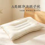 远梦家纺枕头抗菌防螨决明子枕芯家用护颈椎硬枕天然草本定型枕一对 单只 醇净决明子枕(A类)45*70cm