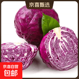 高原露天农家新鲜红甘蓝紫甘蓝沙拉菜买菜生鲜 8-9斤带箱（4-7个）