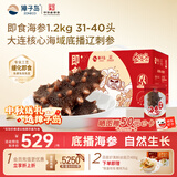 獐子岛 大连即食海参1.2kg 31-40只 固形物85% 海鲜滋补品中秋礼盒送礼