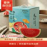 京鲜生 麒麟无籽西瓜 1粒装 净重8-10斤 生鲜水果中秋礼盒