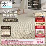 大江进口羊毛地毯客厅现代简约素色轻奢高级感沙发地毯140x200cm