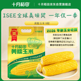 十月稻田 黄糯玉米 8根 3.52斤 真空包装 东北甜粘玉米棒 低脂早餐