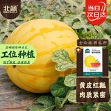 北蔬 金玲珑西瓜种子种苗黄皮红肉西瓜水果种籽 金玲珑西瓜种子约20粒