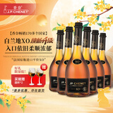 香奈（J.P. CHENET）XO经典白兰地 中秋礼品 官旗法国原瓶进口平价白兰地40度洋酒自饮 经典白兰地XO 700mL 6瓶