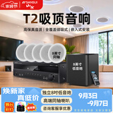 山水（SANSUI）T2 嵌入式吸顶音响音箱 5.1家庭影院音响套装  吊顶喇叭 音箱功放家用商用 家庭吸顶音响客厅环绕 T2【900W功放+8吋喇叭*5+8吋炮】